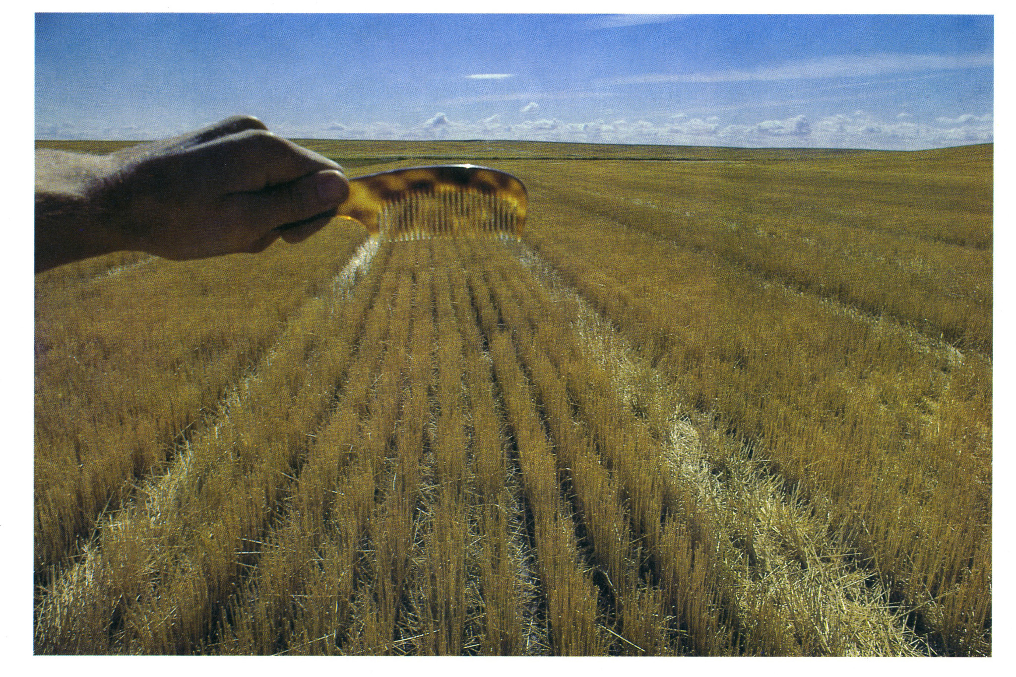 Steve Kuhn Digital Batch 1