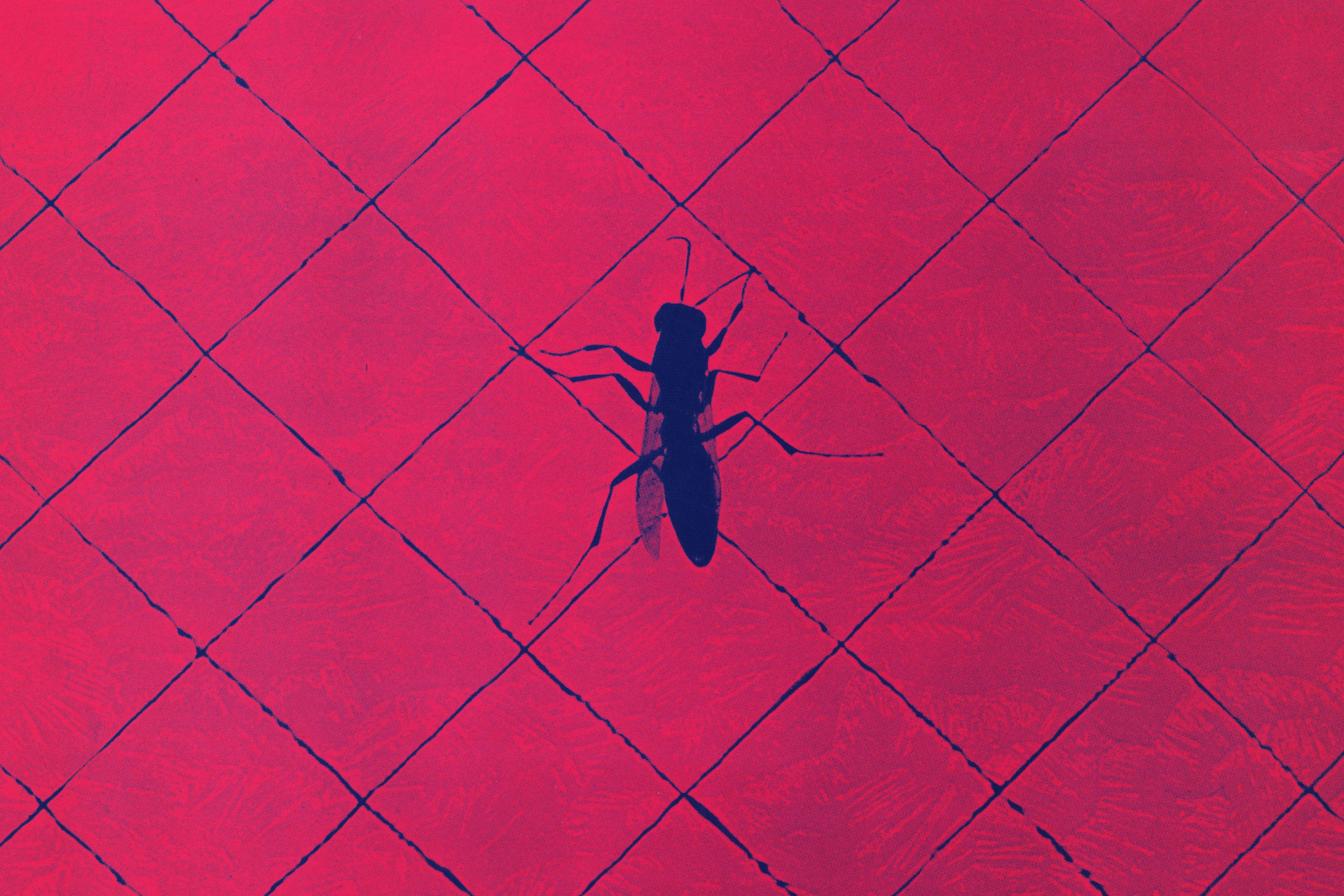 Michael Naura - Vanessa