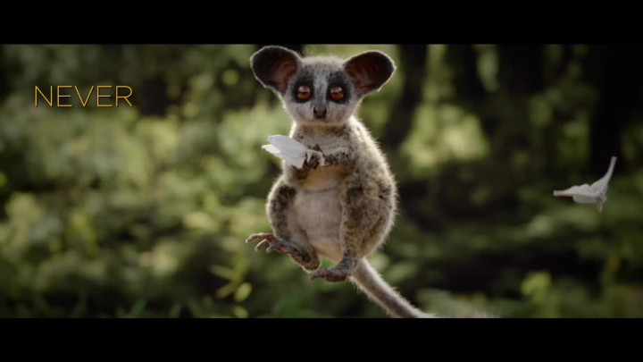 Der König der Löwen - Never Too Late Teaser