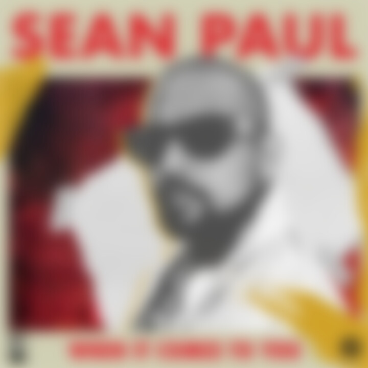 Sean Paul When It Comes To You 
