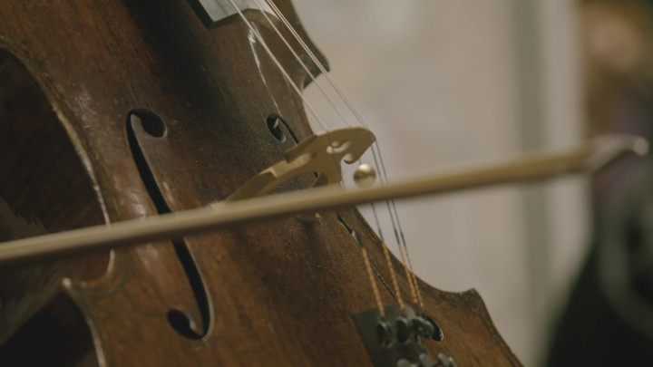 Vivaldi: Cum dederit