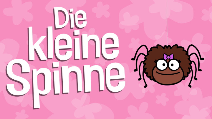 Die kleine Spinne