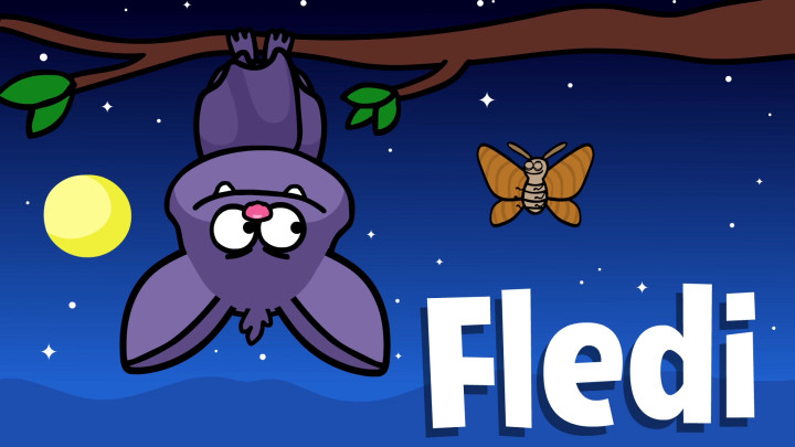 Fledi Fledermaus