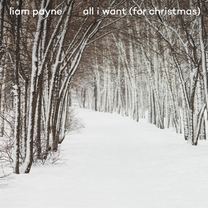 All I Want for Christmas Cover 
