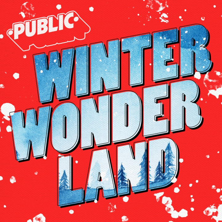 PUBLIC - Winter Wonderland Cover
