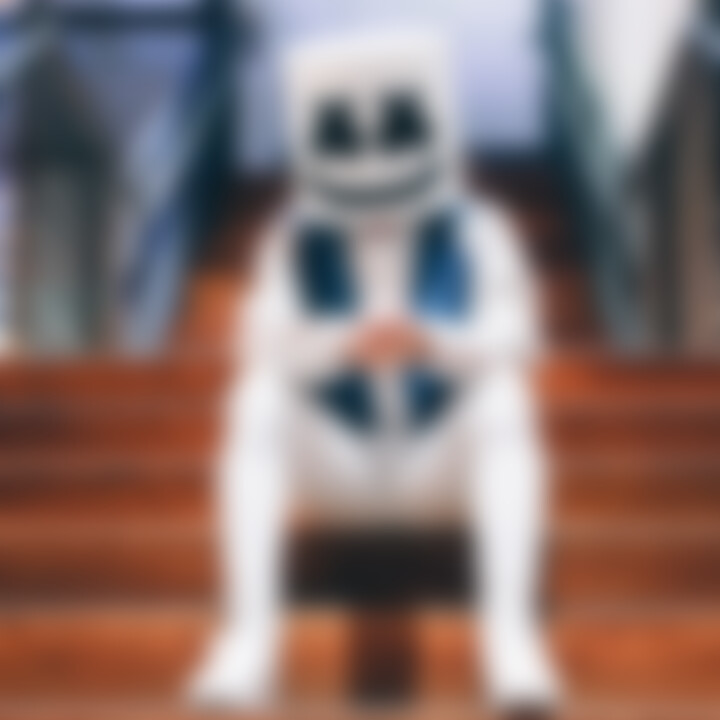 Marshmello Webgrafik 2019