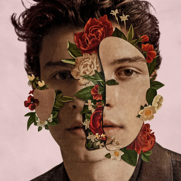 Shawn Mendes Deluxe Re-Issue 