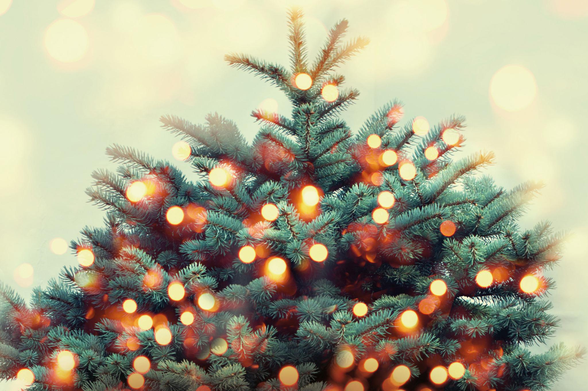 Weihnachts-Hits Fixed Playlist