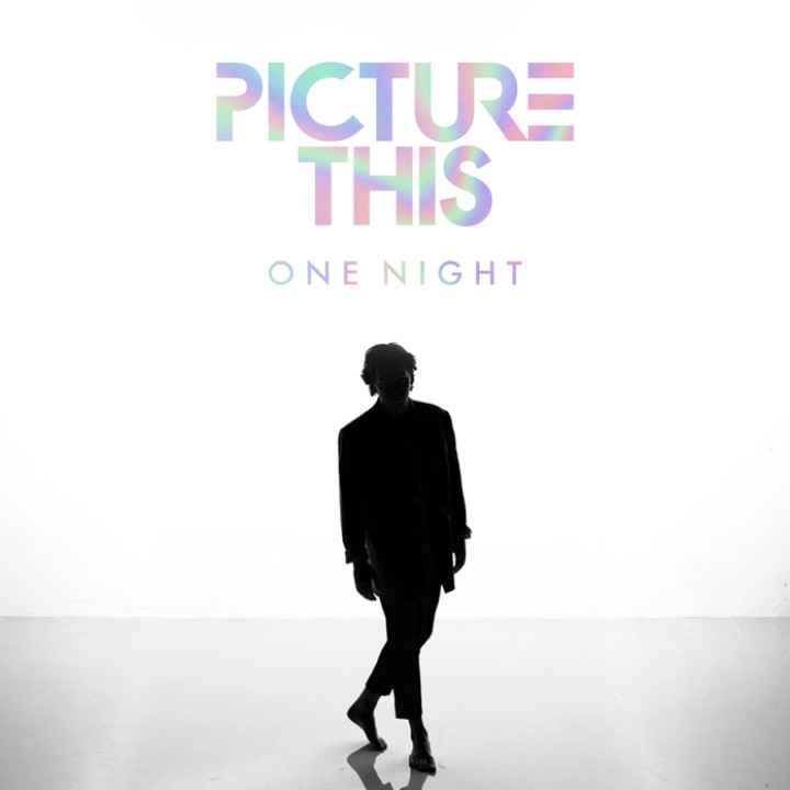 Picture This One Night 