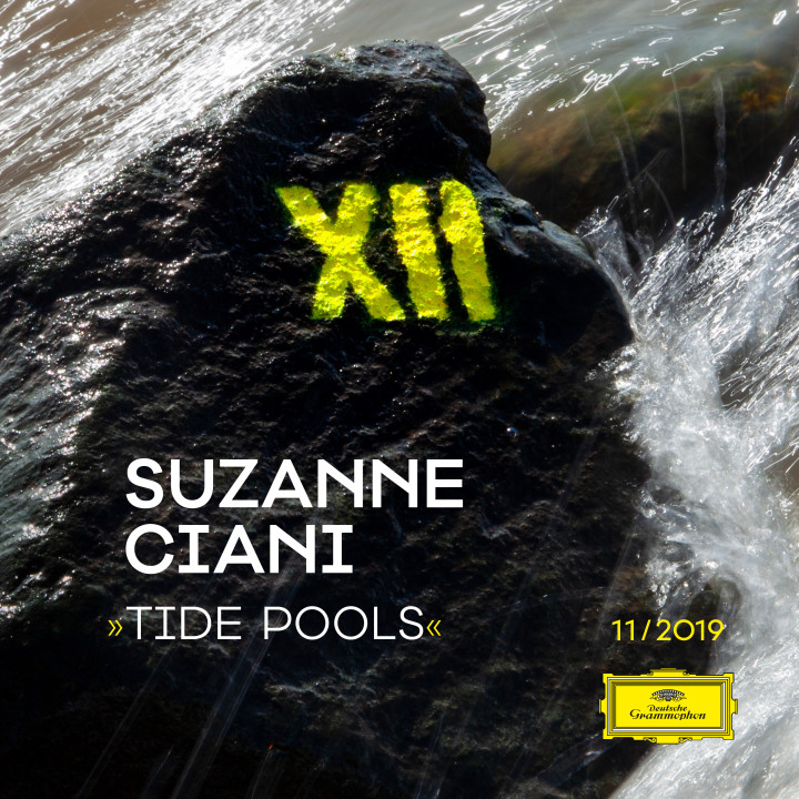Project XII - 2019 / Susanne Ciani - Tide Pools