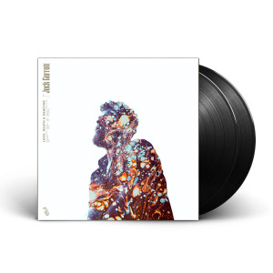 LDD_VINYL