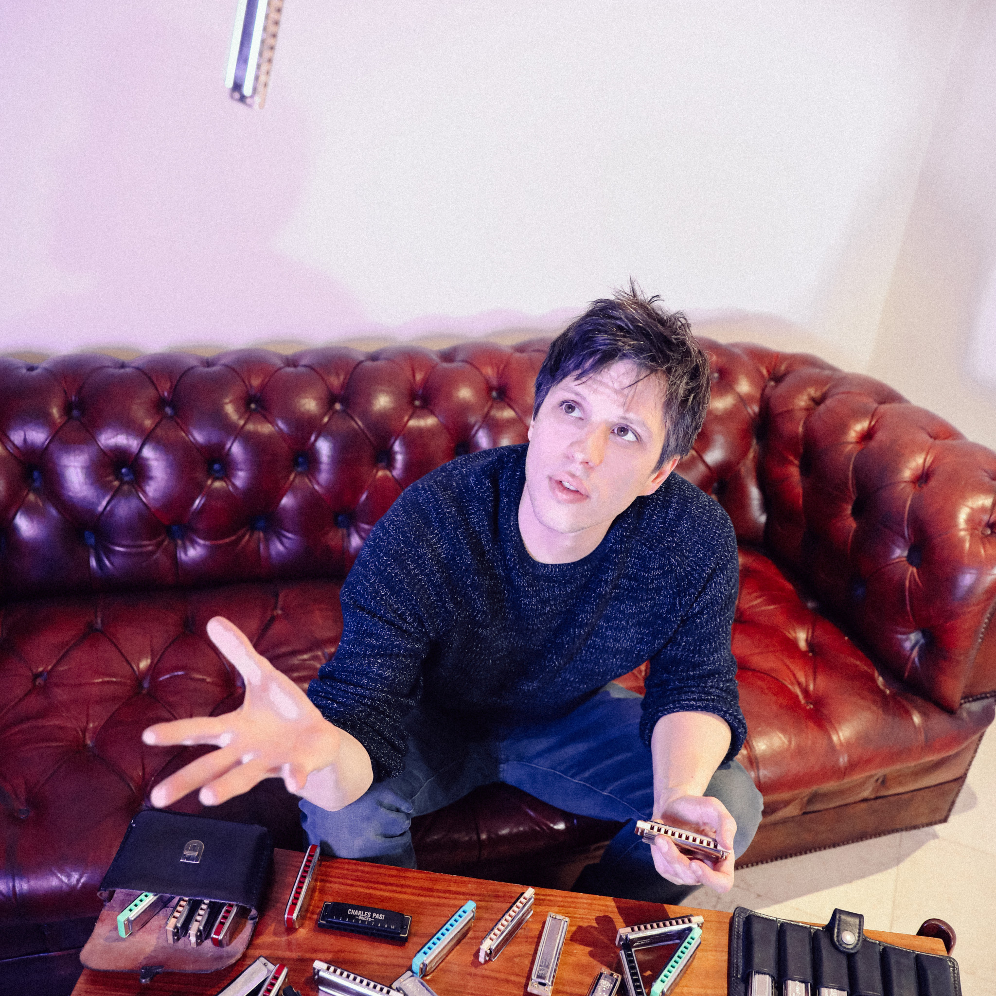 Charles Pasi - Zebra