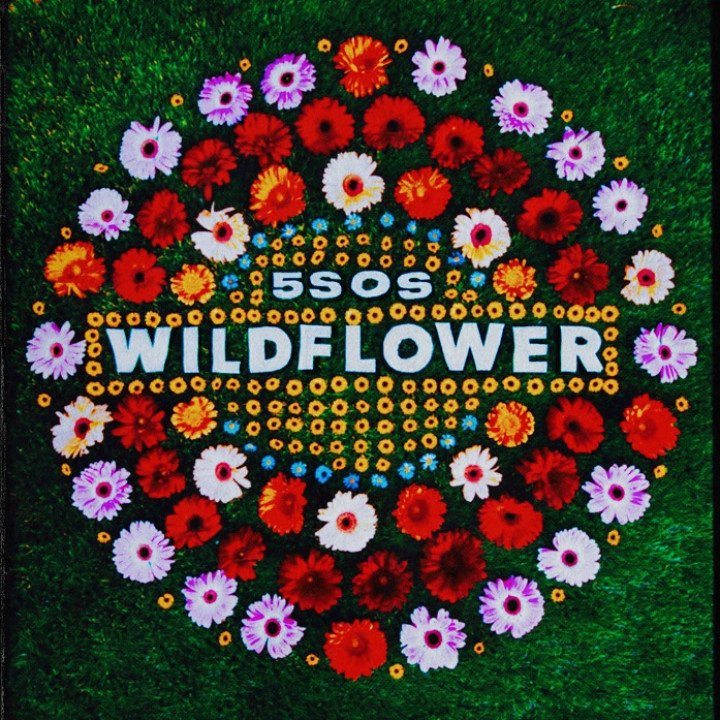 Wildflower Cover