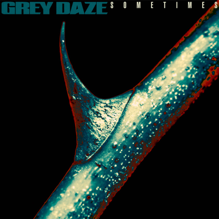 Grey Daze Sometimes