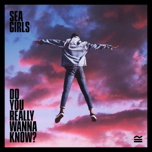 Do You Really Wanna Know Cover 