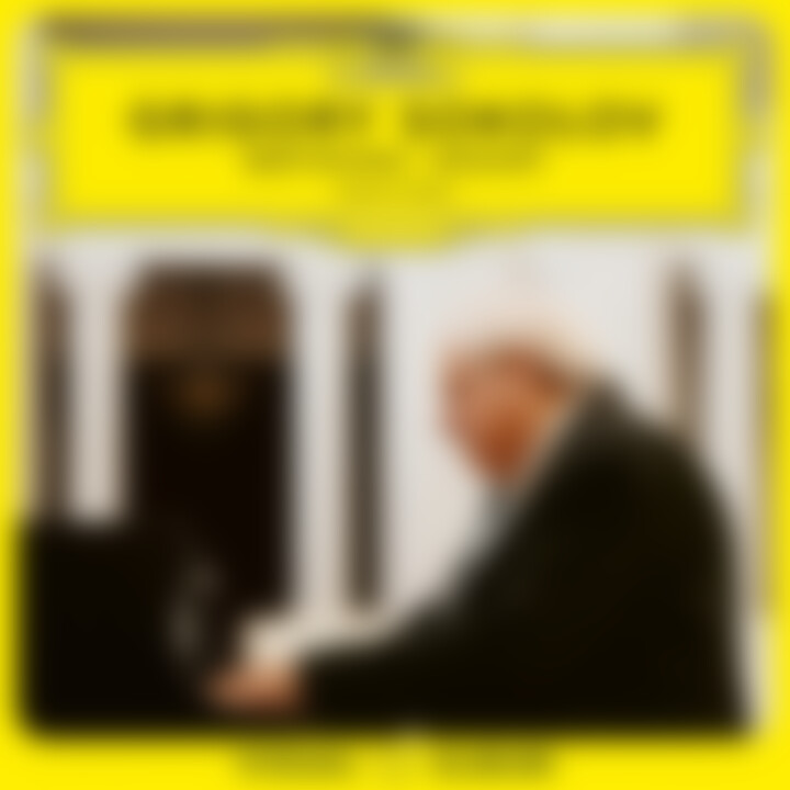 Sokolov Beethoven Mozart eVideo Cover
