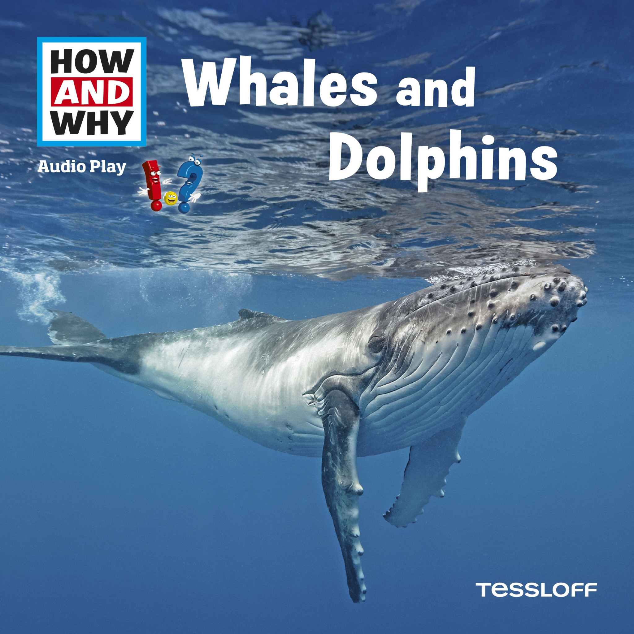 whales and dolphins - how and why
