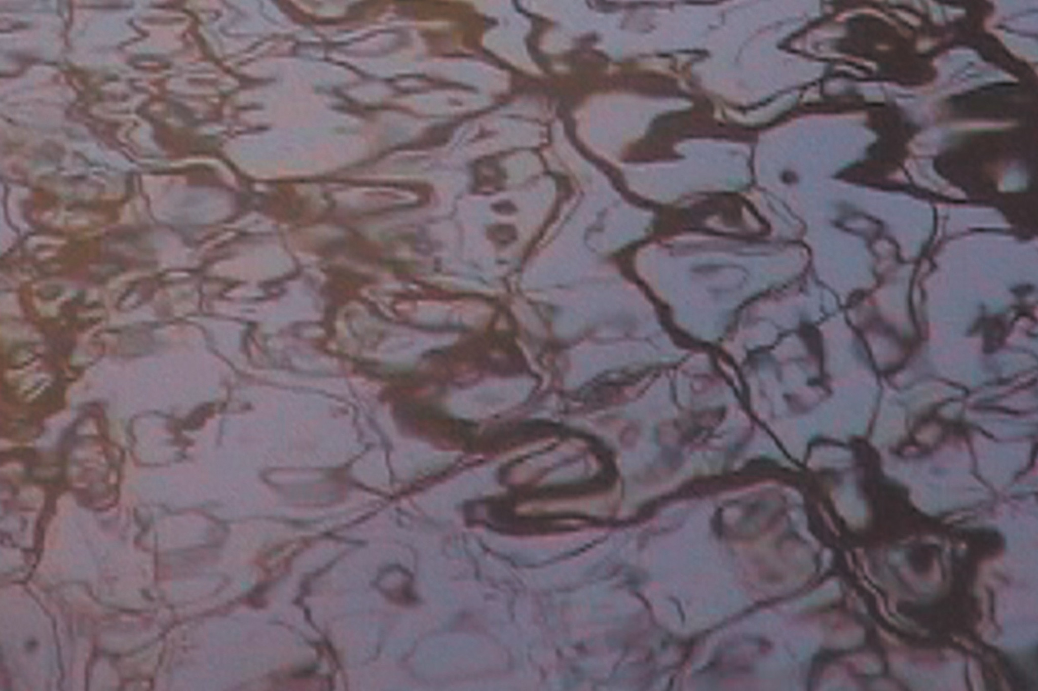 Johann Johannsson Virðulegu Forsetar cover