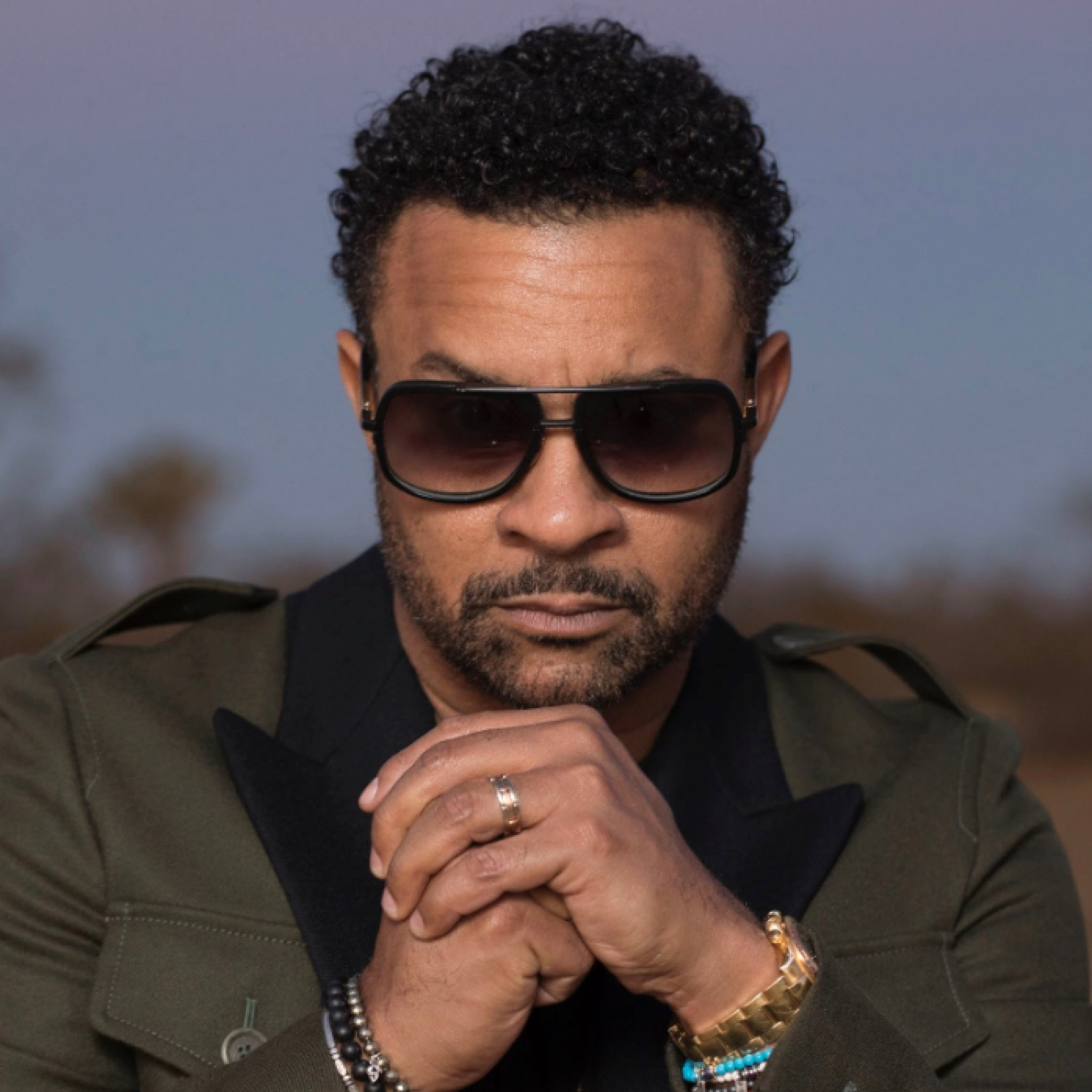 Shaggy Playlist Cover