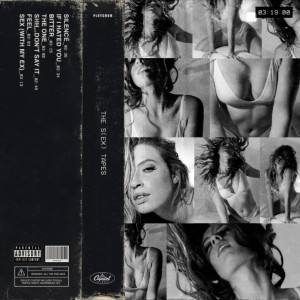 The Sex Tapes FLETCHER