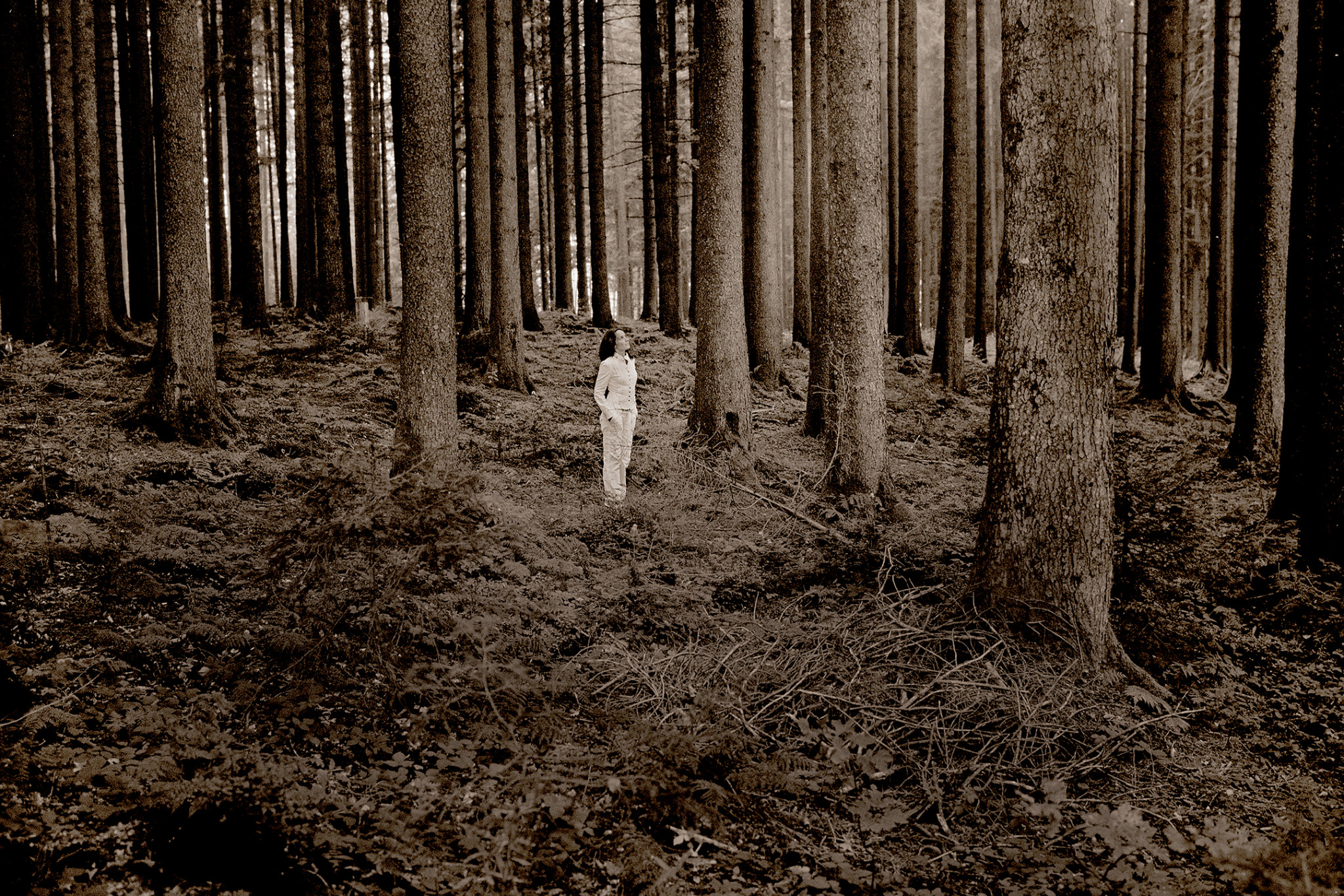 Hélène Grimaud The Messenger Header