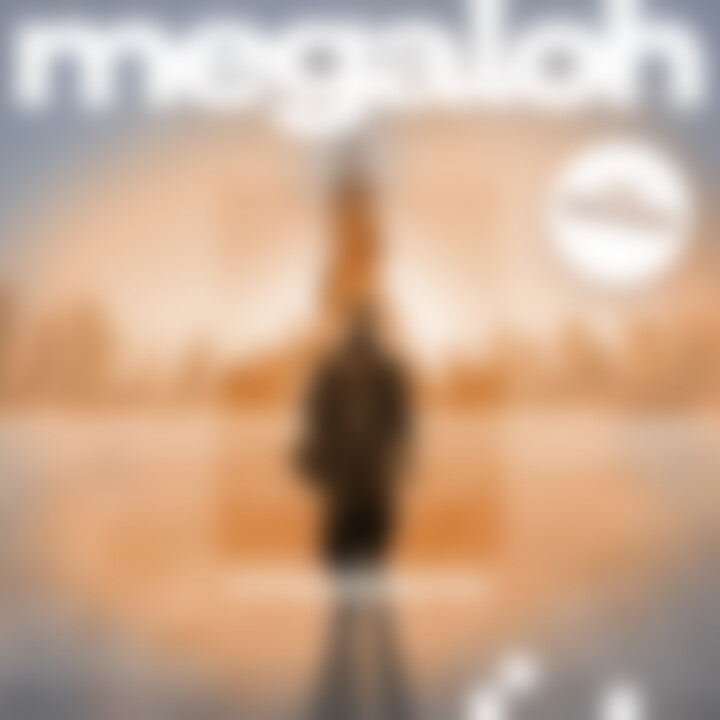 Megaloh Spätes Erwachen - Cover