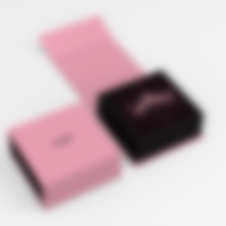 BLACKPINK Packshot THE ALBUM V02