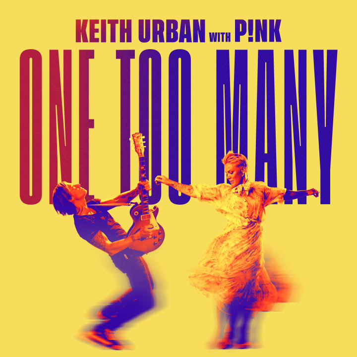 One Too Many ft. P!NK