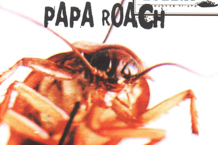 Papa Roach NL 