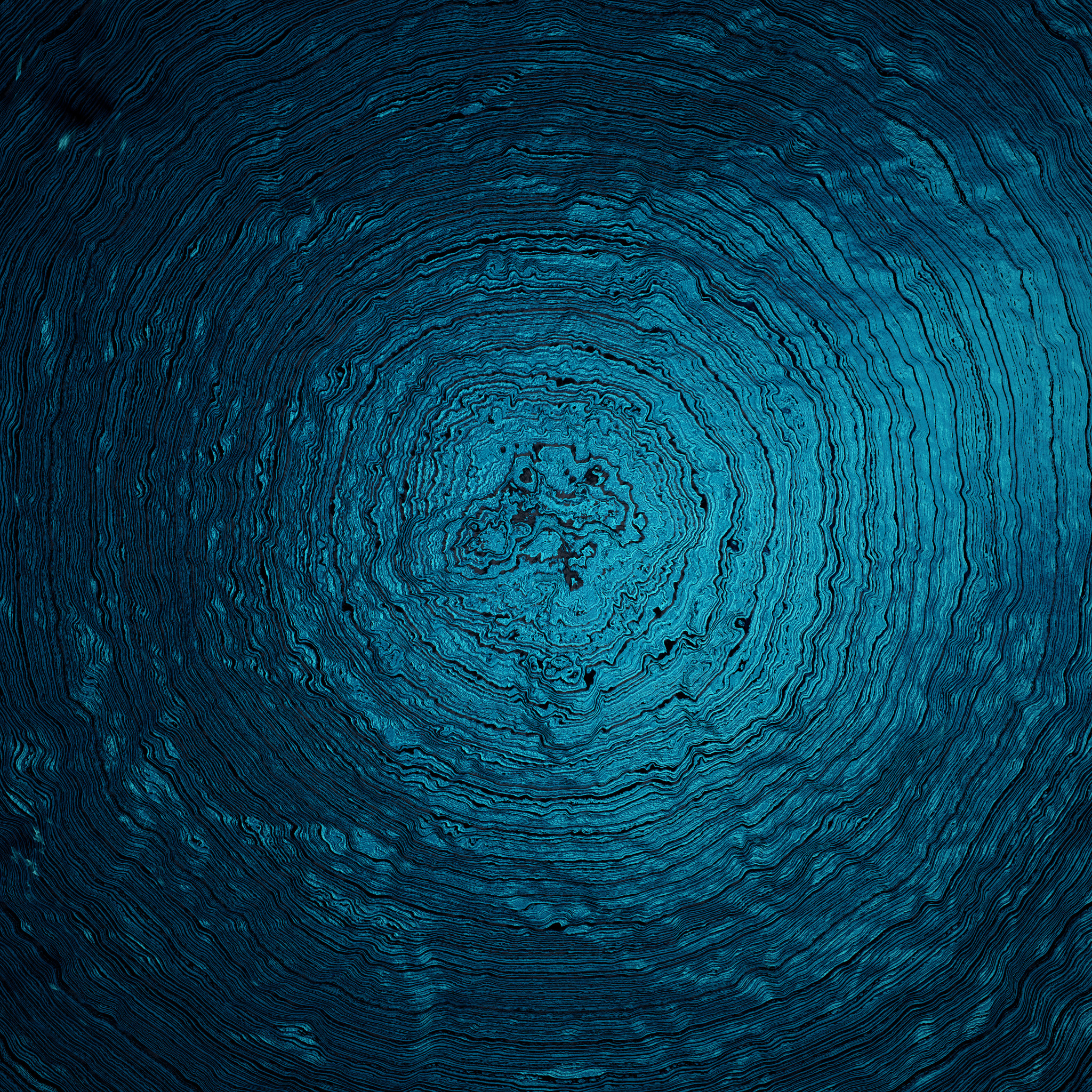 Woven Song - Ólafur Arnalds