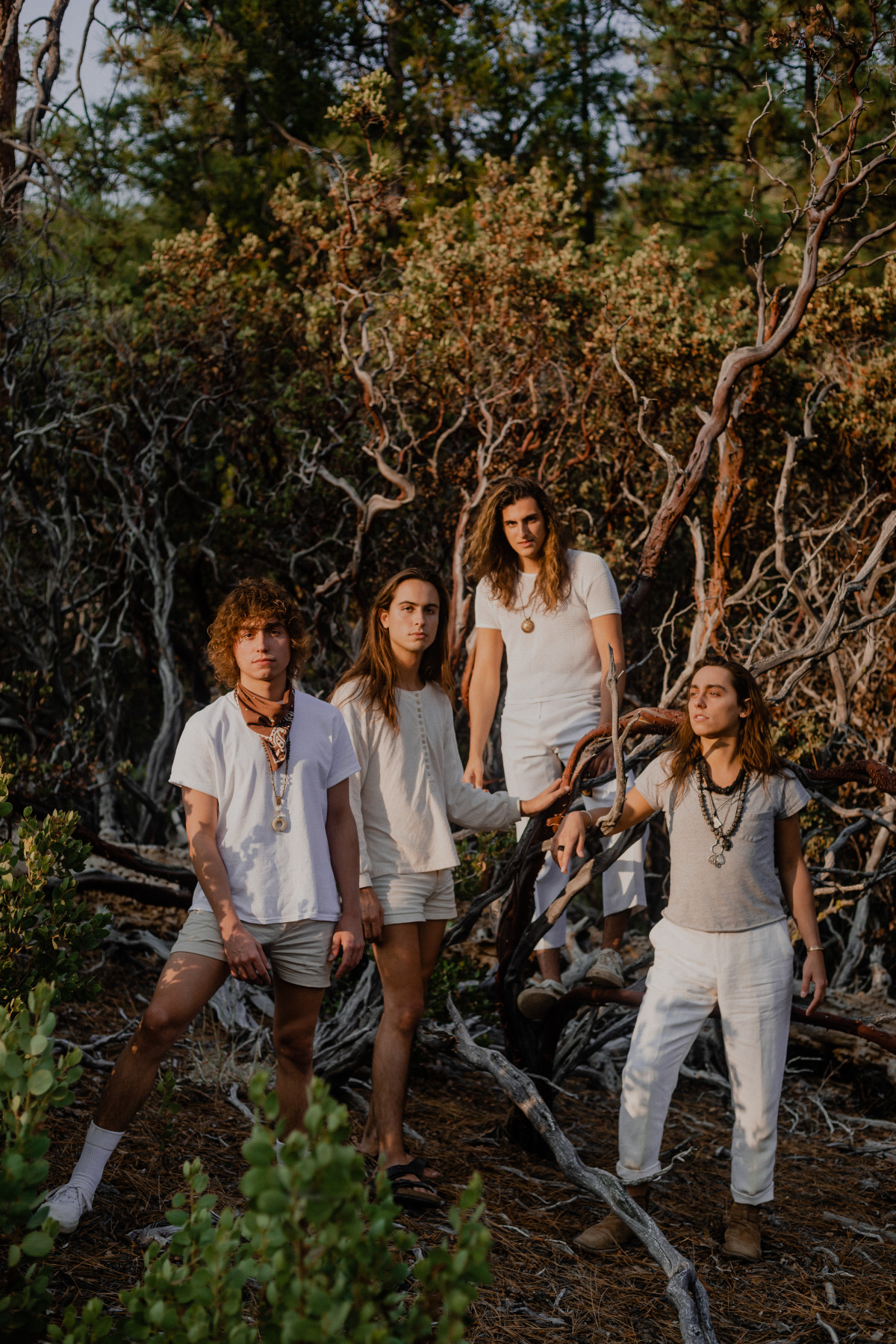 Greta Van Fleet  2020