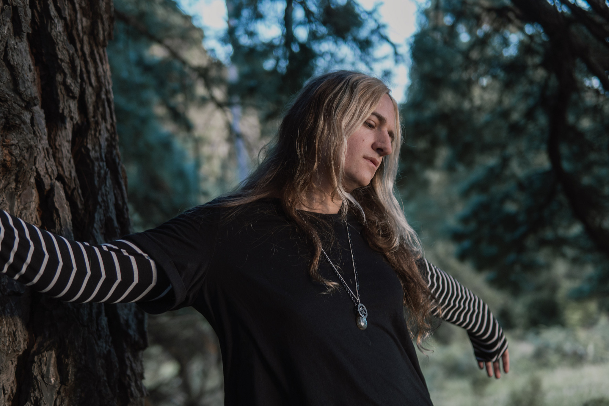 Mira Dawson - Brambles