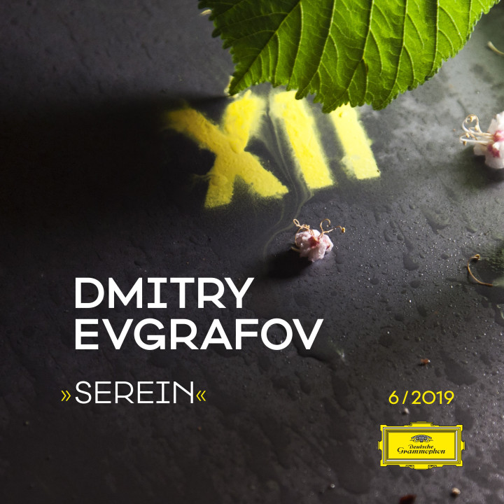 Dmitry Evgrafov Serein