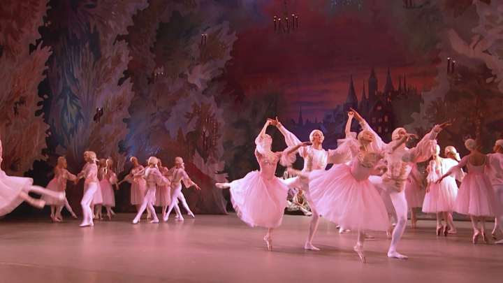 Empfehlenswerte Visual Albums für die Feiertage