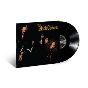 Shake That Money Maker LP