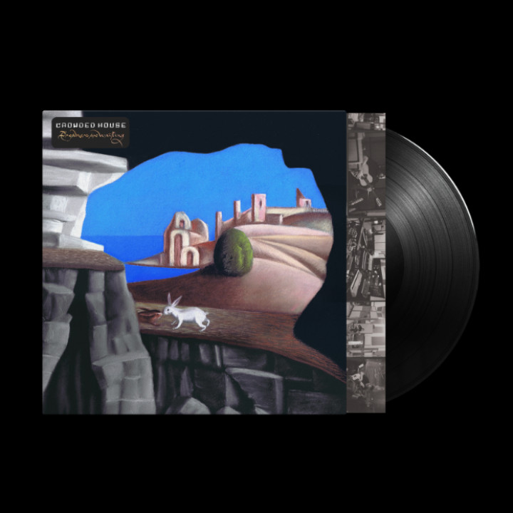 Dreamers Are Waiting Black LP