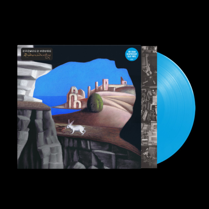 Dreamers Are Waiting Blue LP