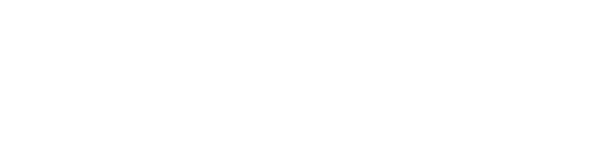 SEELEMANN