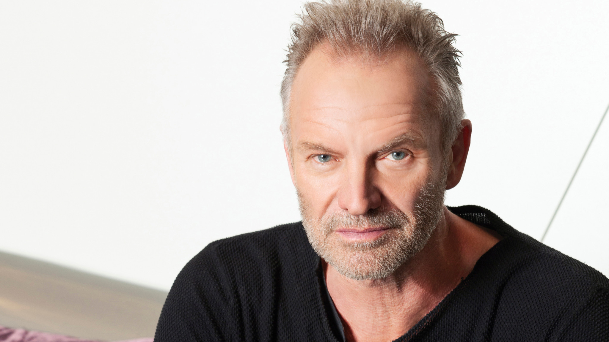 Sting Pressefoto