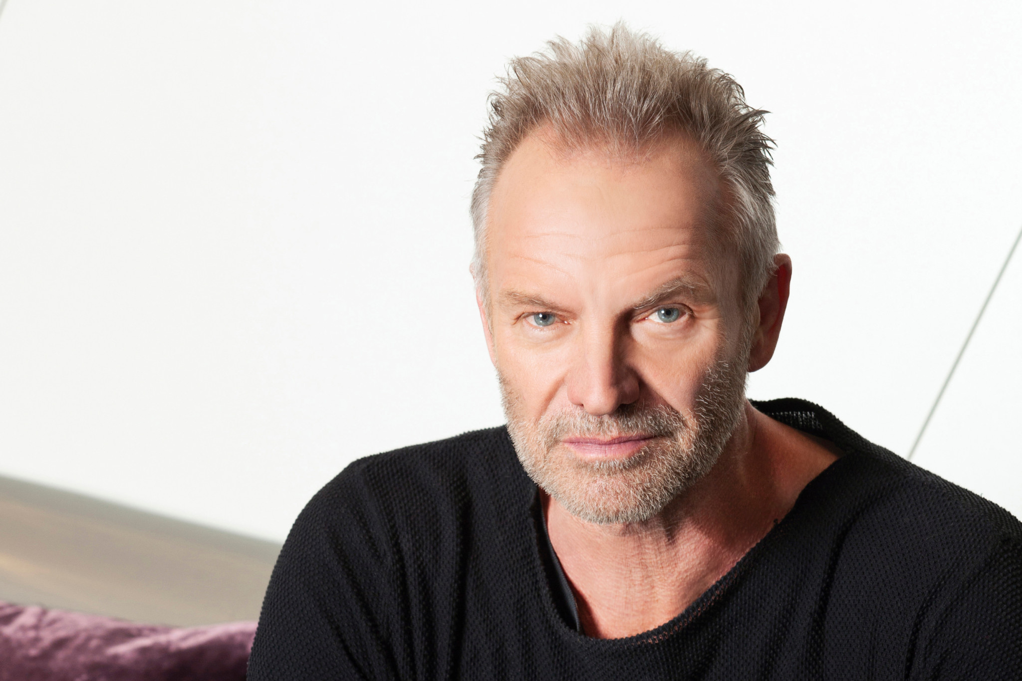 Sting Pressefoto