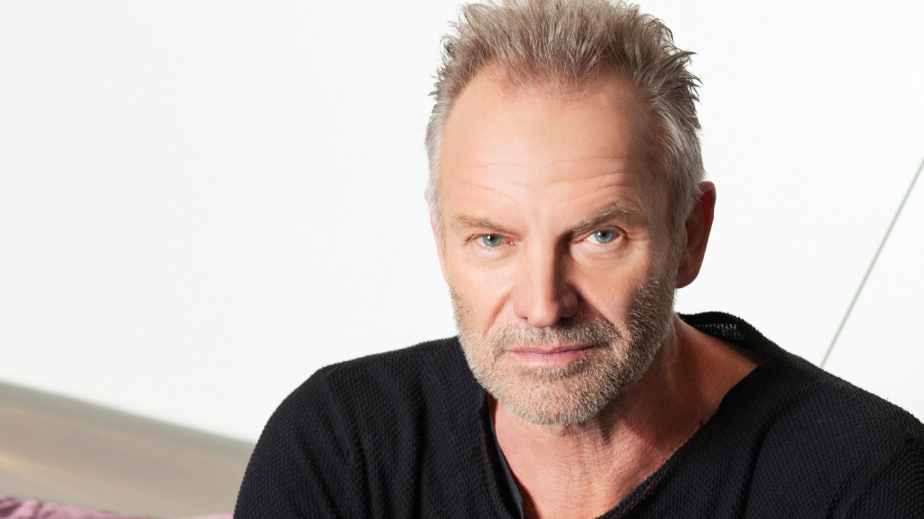 Sting Pressefoto