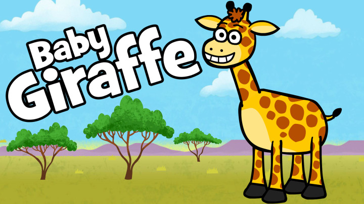 Baby Giraffe