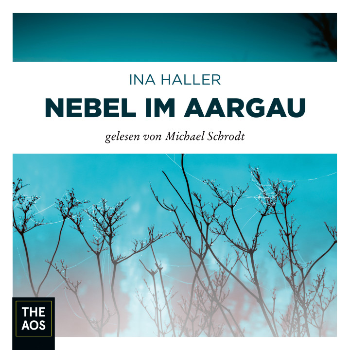 NEBEL IM AARGAU Cover