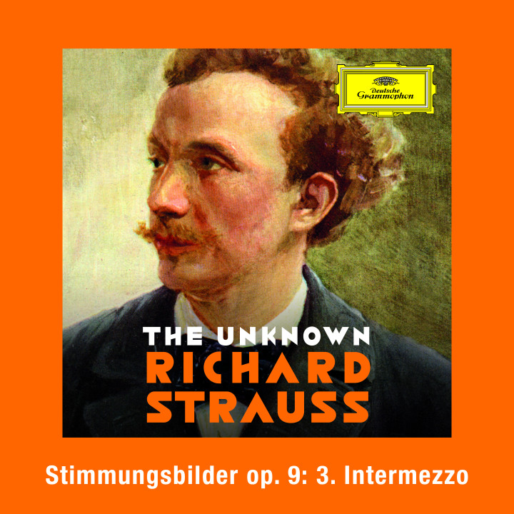 Strauss: Stimmungsbilder, Op. 9: No. 3 Intermezzo Cover