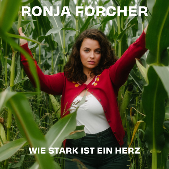WiestarkistienHerz