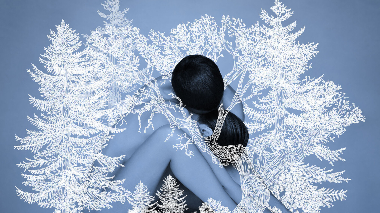 winter-tales-header.jpg