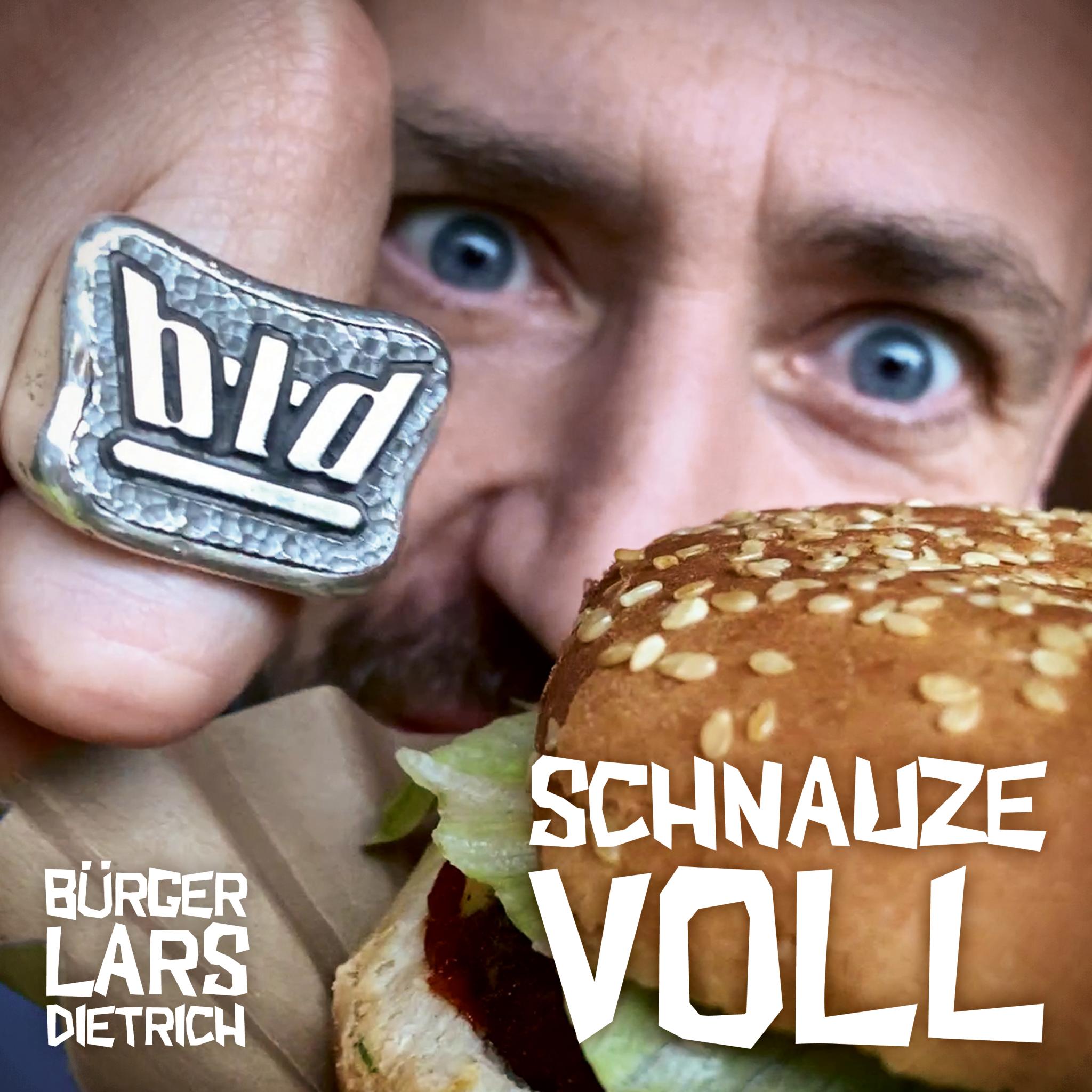 Bürger Lars Dietrich Schnauze voll Coverbild