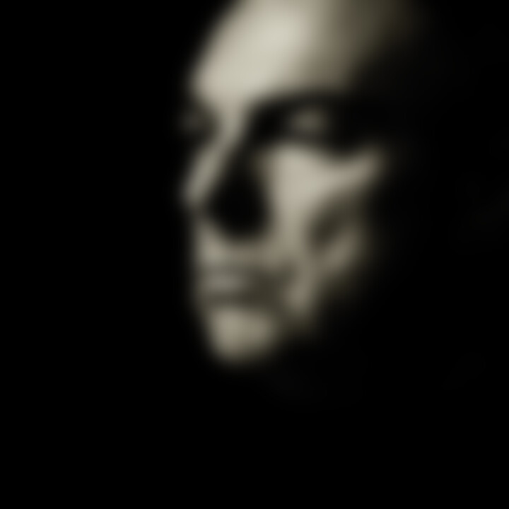 van morrison 2008