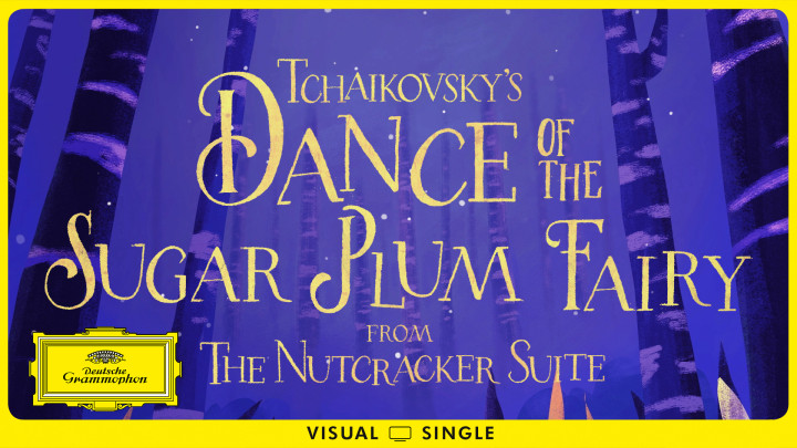 Rostropovich - Tchaikovsky: The Nutcracker (Suite), Op. 71a, TH. 35: IIb. Dance of the Sugar-Plum Fairy Visual Single Cover