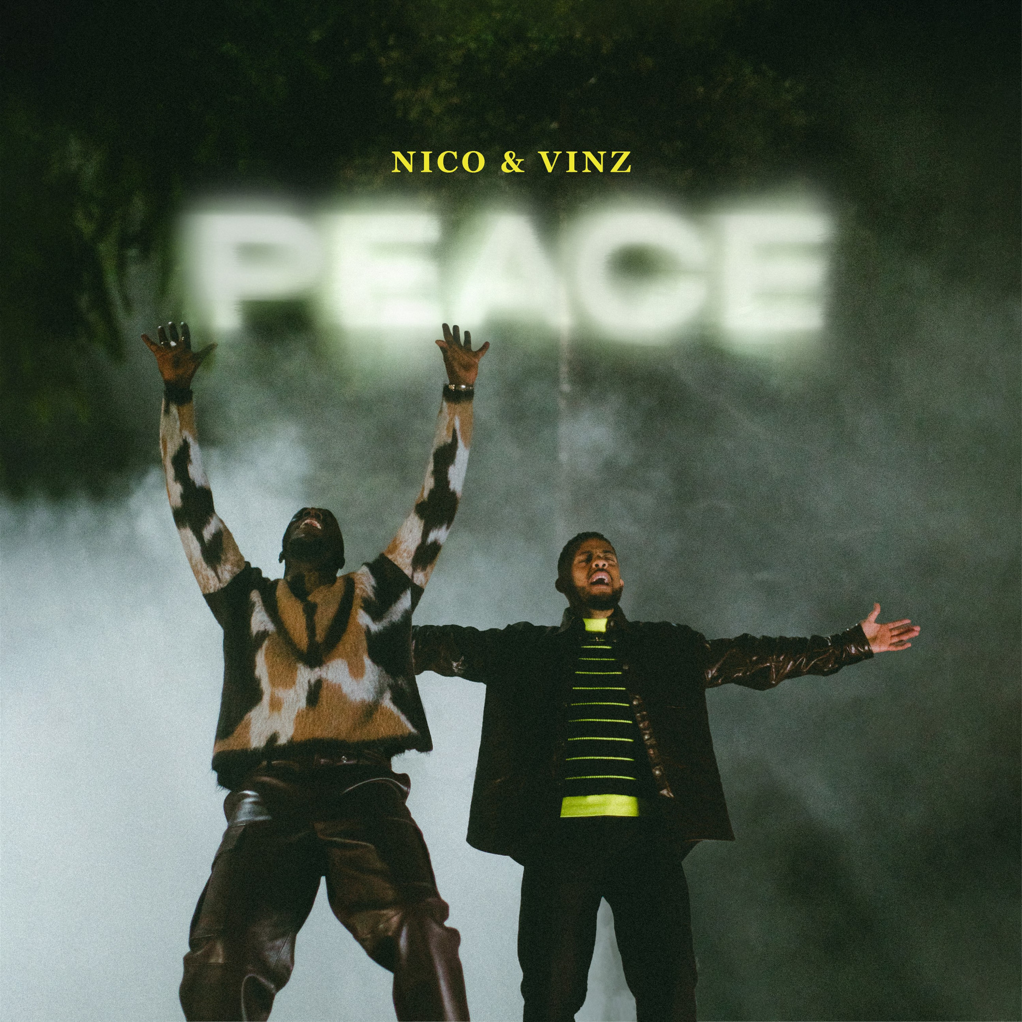 Nico & Vinz Peace Cover